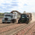 Harvest 2007 082