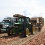 Harvest 2007 085