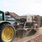 Harvest 2007 086